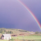 Image for article titled Horror Stories From Former Polygamists